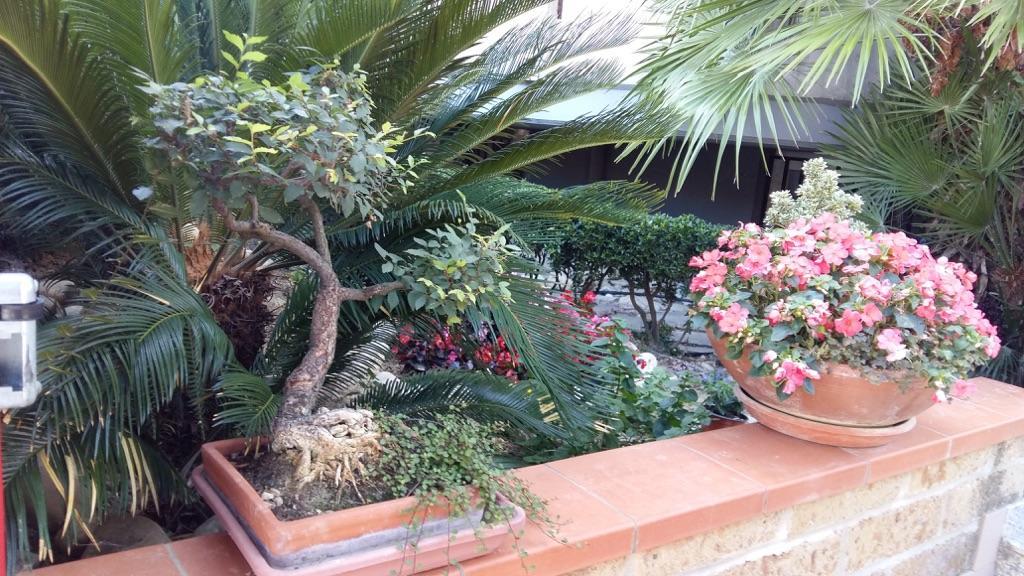 B&B Mirella Città Sant'Angelo Eksteriør billede